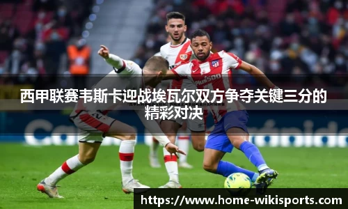 维基体育官方网站